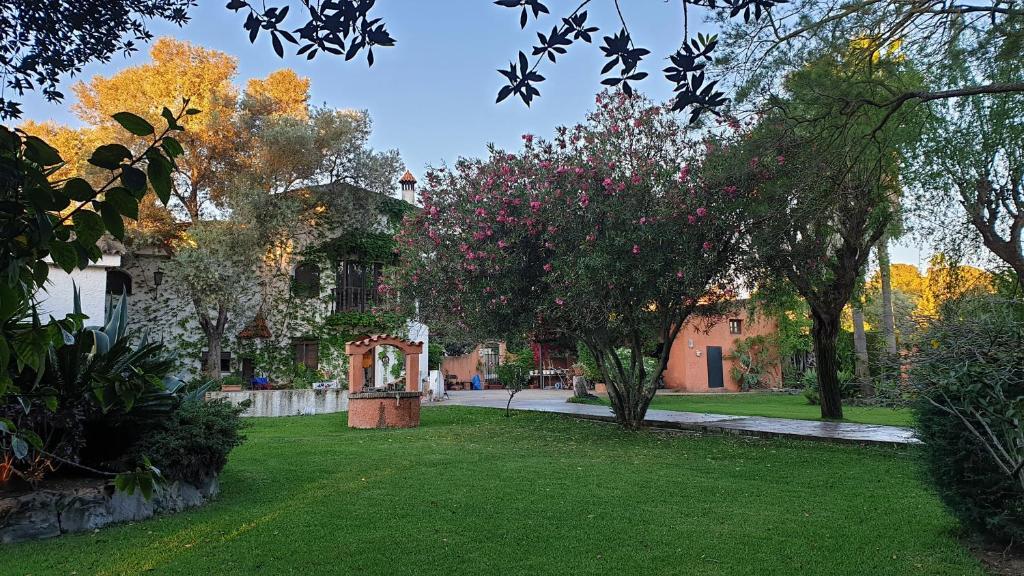 Bed and Breakfast La Casa Del Torreon Альхараке Екстер'єр фото