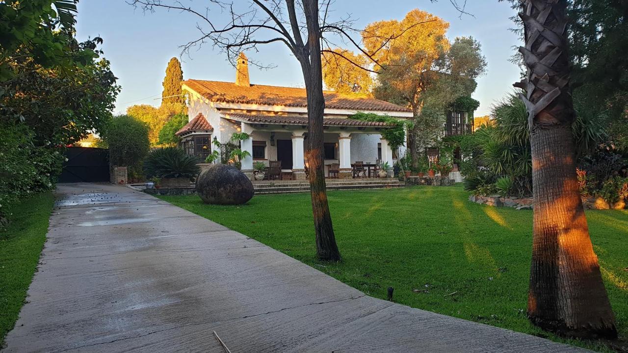 Bed and Breakfast La Casa Del Torreon Альхараке Екстер'єр фото