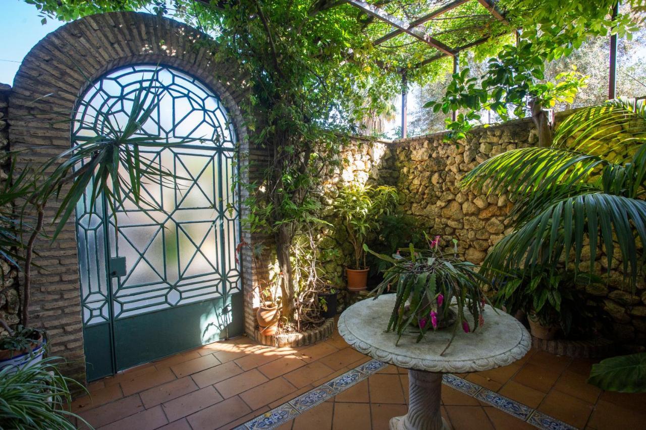 Bed and Breakfast La Casa Del Torreon Альхараке Екстер'єр фото