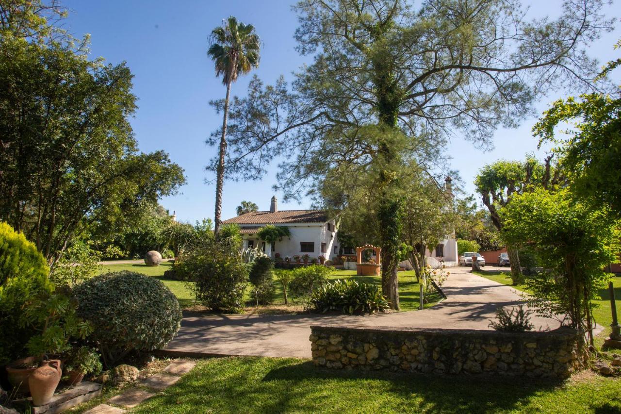 Bed and Breakfast La Casa Del Torreon Альхараке Екстер'єр фото